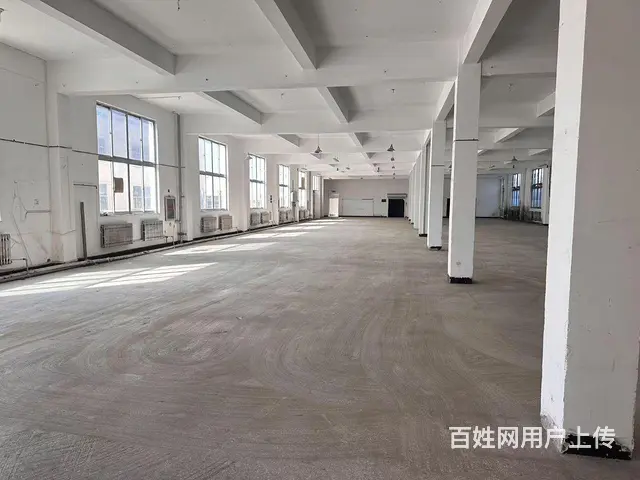 （新房源）羊亭和兴路附近标准厂房出租可分租 - 图片 4