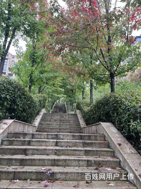 逃离重庆45℃火炉，去22℃避暑圣地金兰凤凰国际！ - 图片 6