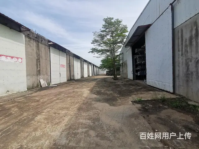 海口仓库出租、海口厂房出租 - 图片 4