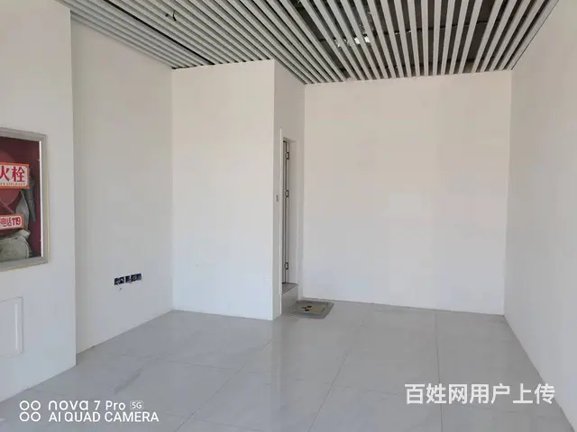 7676（七P）个人城北区宁张路陶昕学校对面空铺出租 - 图片 3