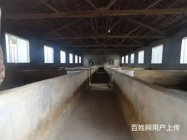 旺铺居）房东直租方水镇冻库，保鲜库，厂房仓库，养猪场 - 图片 5