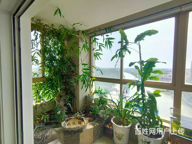 愚池湾前排153平三室两厅两卫采光好装修好南北通透 - 图片 6