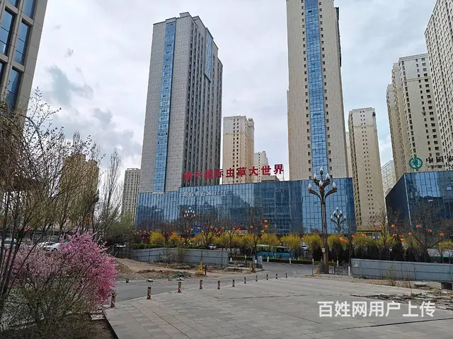BP个人 虫草大世界对面酒店可租可售 - 图片 2
