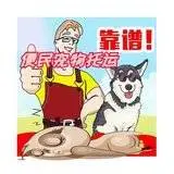 常州 宠物托运全国宠物托运 洛阳代办证件 - 图片 2