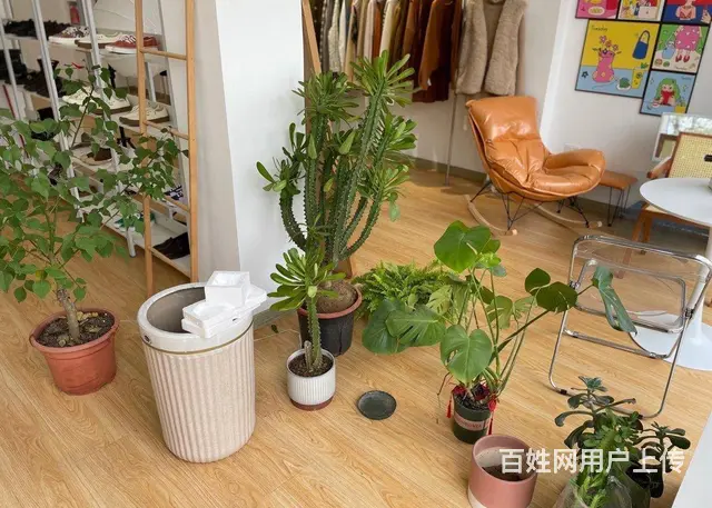 （诚速）转让博文世家北门营业中服装店 全新装修设备齐全 - 图片 3