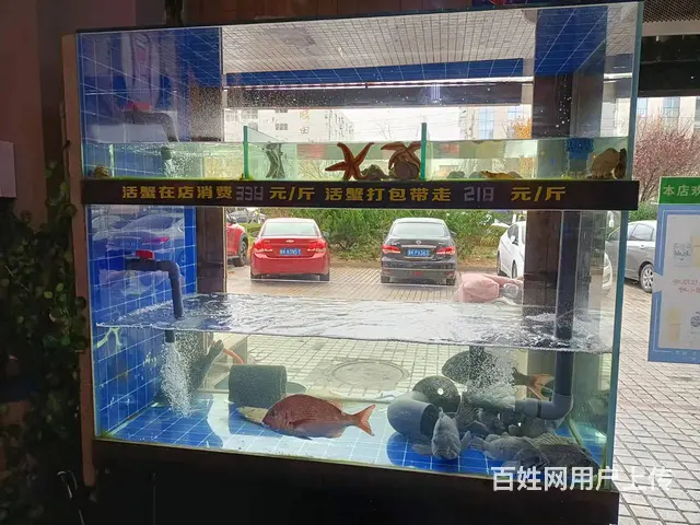 【创美】高区自由东方附近好生意日料店转让 - 图片 3