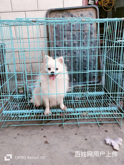 换地发情标价就是卖价13523204837 - 图片