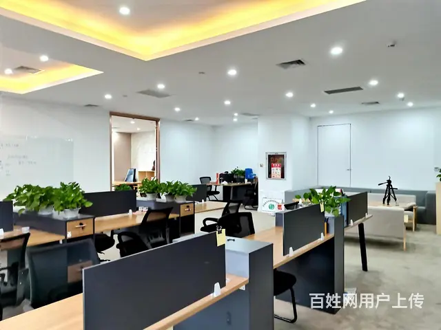 ，正大国际，500平精装修写字楼出租 - 图片 3
