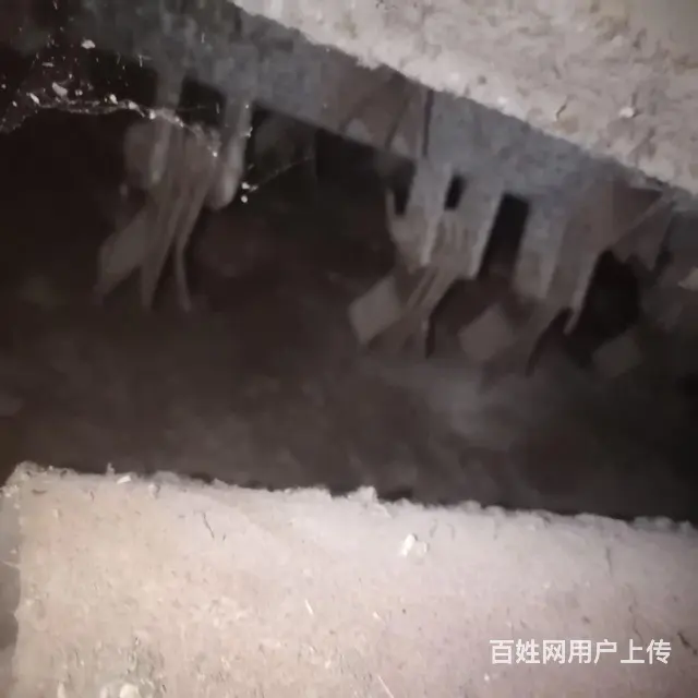 福田雷沃三行玉米机拆件， - 图片 4
