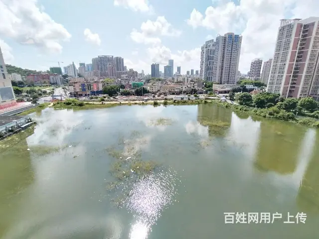 前山 心海洲 电梯 精装3房 拎包入住 - 图片 10