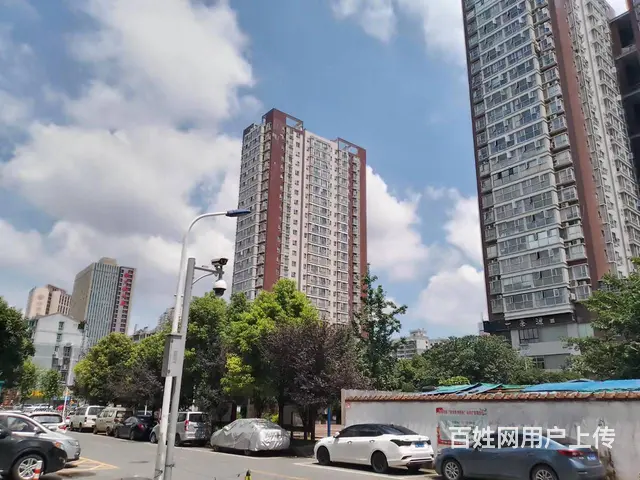 （老板本人）高桥外卖餐馆（空转） - 图片 4