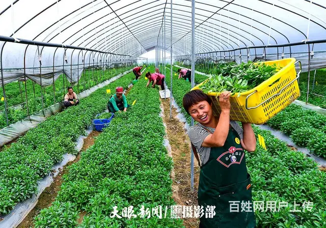 招聘香港离家近普工包吃住岗位 - 图片 2