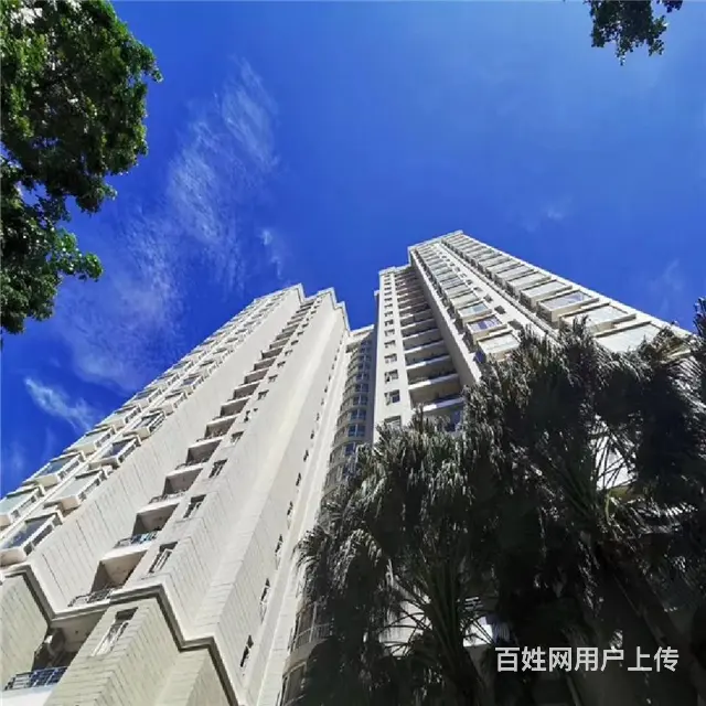 海口湾     紫荆花园3房出售 - 图片 9