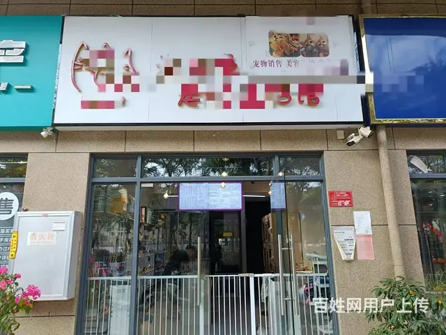 （51旺铺推荐）海螺天悦湖畔70平宠物店转让 - 图片 1