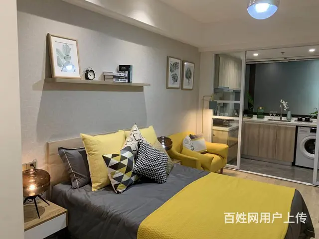 龙虎塘九州花园旁星公寓带家电精装修交付通燃气随时看 - 图片 5
