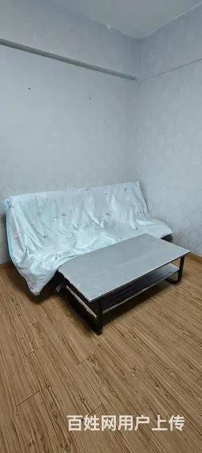 南京新百精装公寓，南户 普通住宅1厅 精装修 - 图片 3