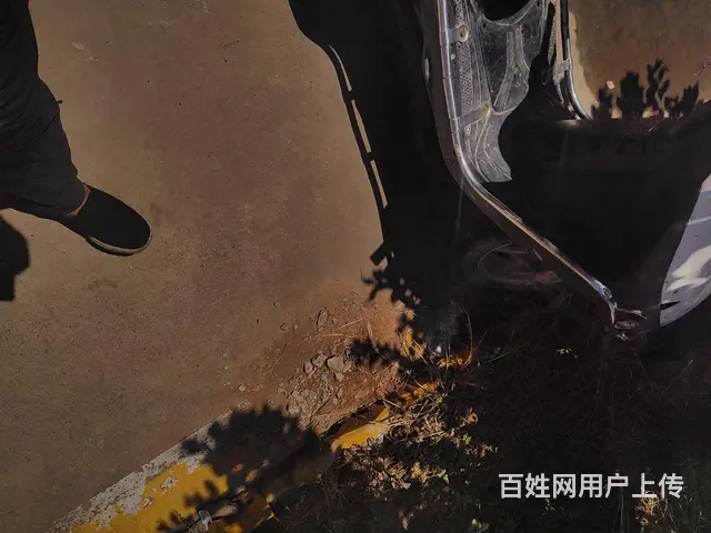 本田公主 - 图片 3