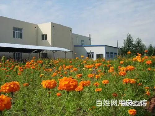 内蒙古奈曼旗白酒厂房整体出售 - 图片 6