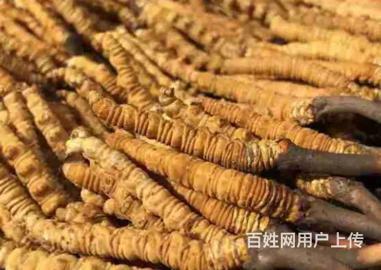 郫县收购四大名酒酒瓶，茅台路易十三酒瓶上门服务 - 图片 2