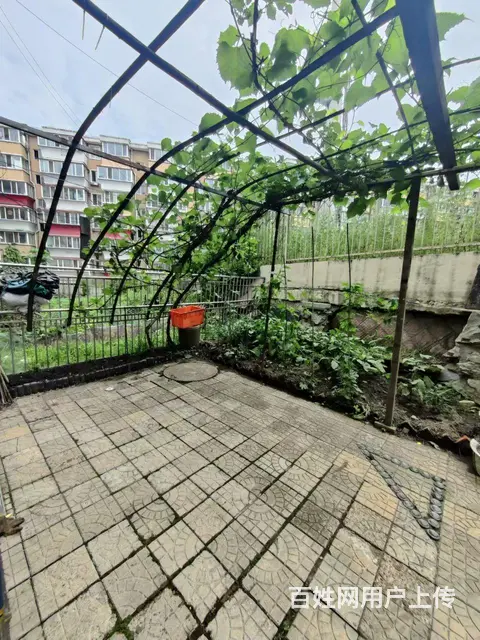 鹿林山比优特附近商住两用 - 图片 5