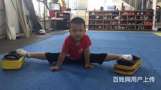 自由搏击散打武术 - 图片 2