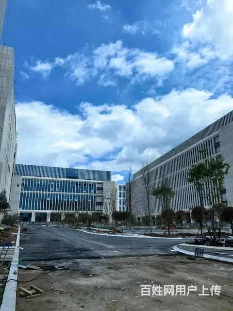 高新区 电子信息产业园 即将开园 单层厂房对外出租 - 图片 1
