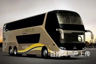 舒城宠物托运（猫狗）活体邮寄快递（2022宠物运输 ）今日推 - 图片 3