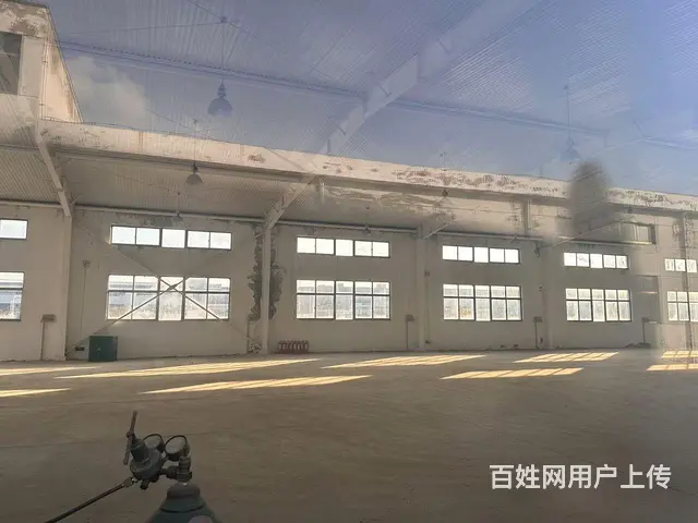 （新房源）初村钢结构独门独院8米高厂房大院子出租 - 图片 11
