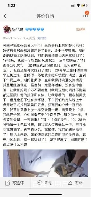 北京寻猫团队，北京找猫团队，北京同城寻宠物 - 图片 2