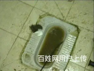 沈阳管道疏通专业疏通马桶 菜池 地漏各种疑难下水道 - 图片