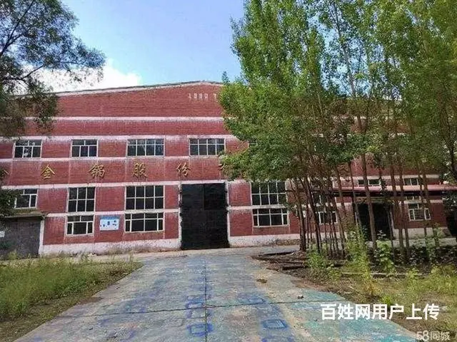 阿城区会宁路副277号厂房办公楼出租 - 图片 7