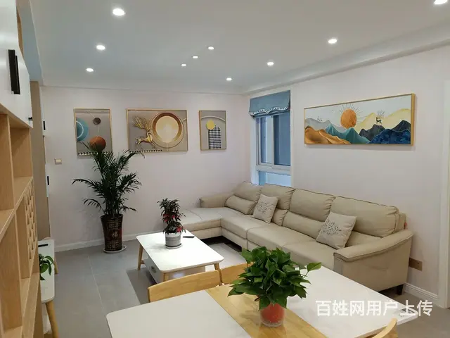 雨润广场电梯房11楼，2室2厅，豪华装修未住人，有钥匙，双校 - 图片 1