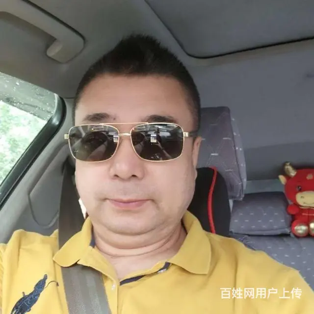 奥迪出租 - 图片 2