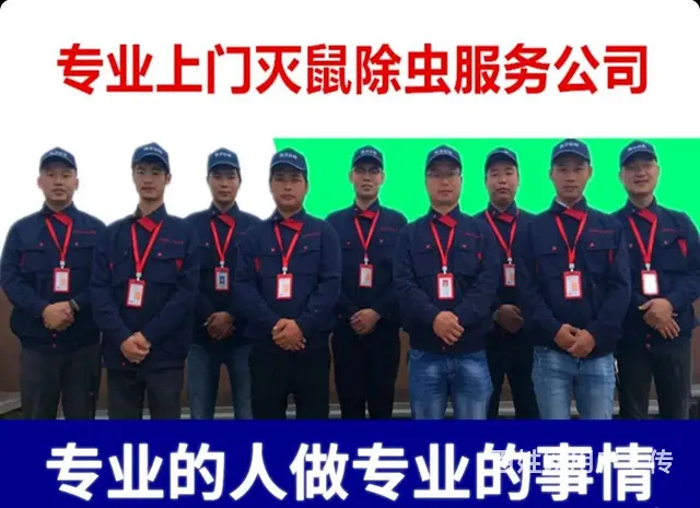 秦皇岛灭蟑螂灭蚂蚁灭蚊蝇灭鼠除四害消杀公司 - 图片 3