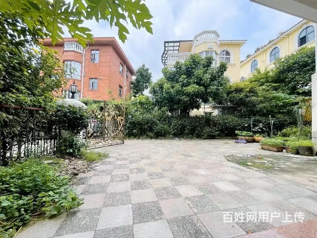 全城聚焦好房强推 华南碧桂园独栋别墅 建基70平1 - 图片 1