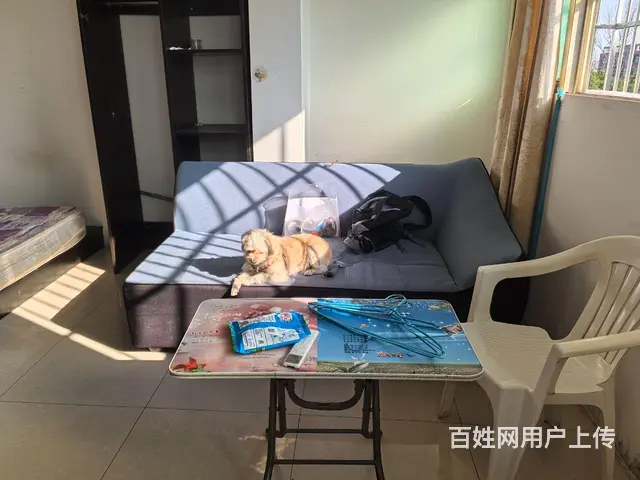 近昆山出口加工区日本工业园仁宝立臻正新轮胎带阳台朝南主卧出租 - 图片 1