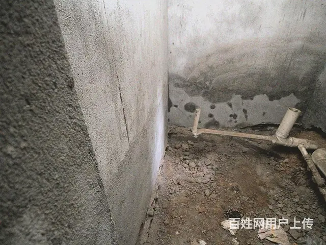 老八 中 玖隆城市花园 毛坯一二复式楼带花园，户型好，满5年 - 图片 10