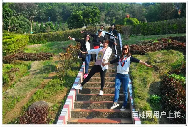 哪里有茶艺培训班，天晟茶艺培训学校答深圳茶艺师培训 - 图片 8