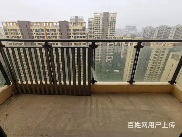 甩  金典  三开间朝南  客厅通阳台  加储物间 - 图片 11