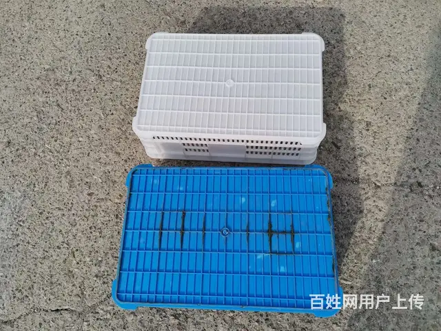 长春周转箱,塑料箱二手,塑料筐,物流箱处理 - 图片 7