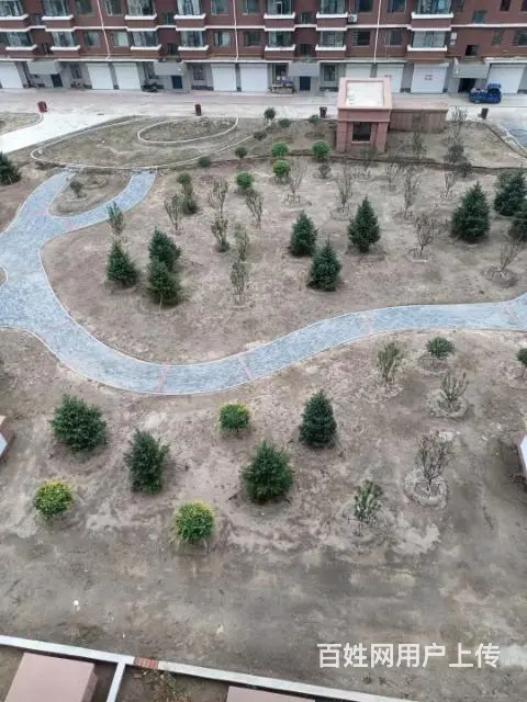 镇赉欣枫丽景A区抵账楼出卖 - 图片 2