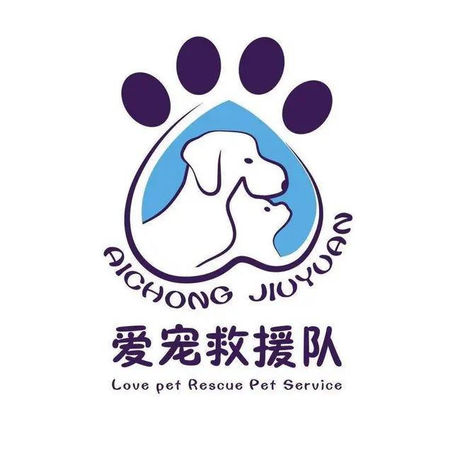猫咪走丢了如何找回来洛阳专业找猫团队真的能找到吗 - 图片 1