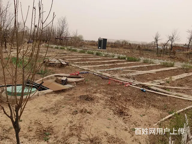 土地房屋出租 - 图片 6