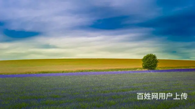 模特礼仪主持人各种演出影视演员明星网红安保兼职舞蹈 - 图片