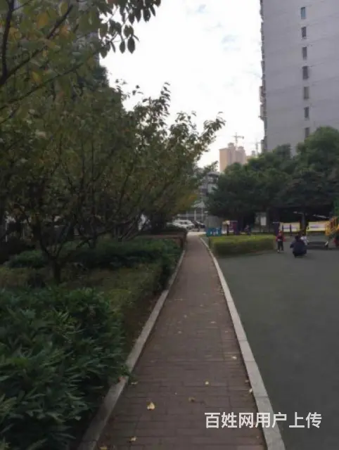 （新出）万达旁   空置 太湖明珠苑南苑2室精装修 中层 - 图片 12
