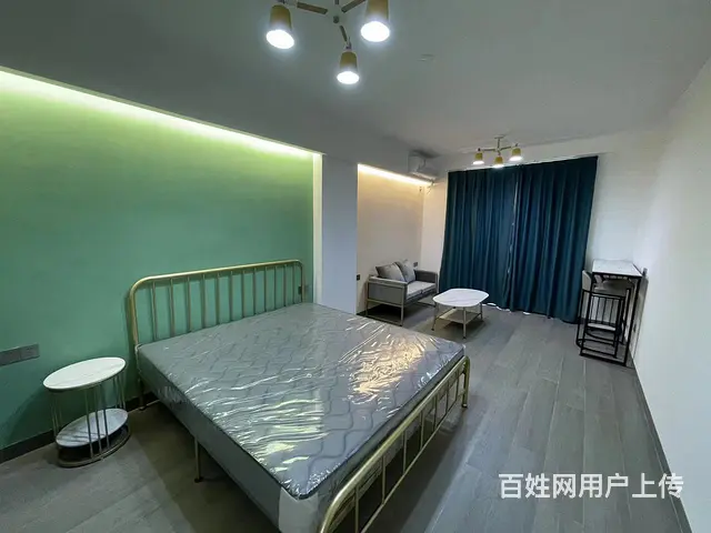 城东精装修1室48.00平空房出租 - 图片 3