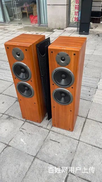 丹麦原装进口尊宝 E650高档发烧音箱一对成色漂亮 - 图片 3