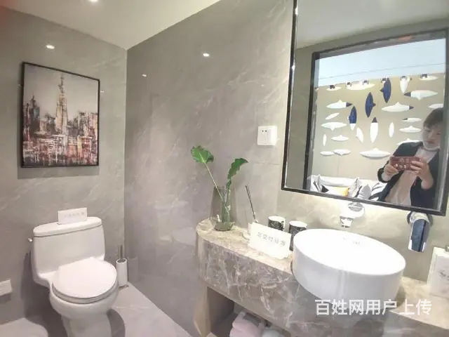 政府财税奖补明湖中对面 高铁站轻轨口复式挑高 央企开发 - 图片 11
