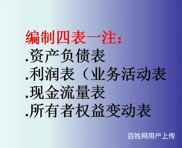 四表一注财务审计报告投标审计报表 - 图片 2
