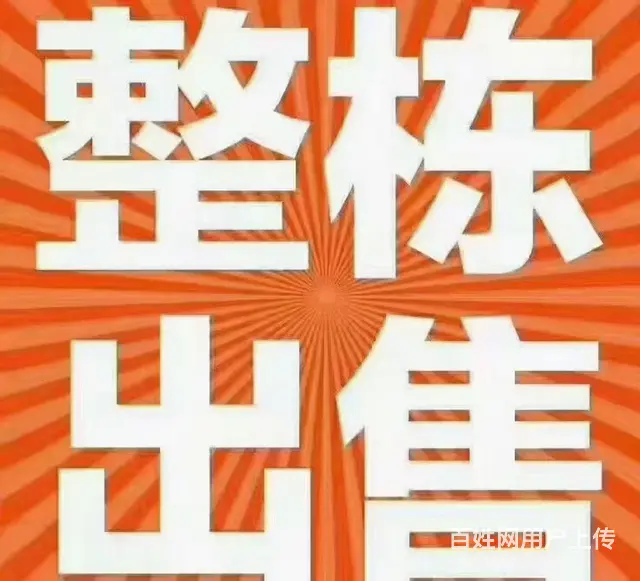 售，流沙前蔡村正幢楼2400平方 - 图片 3